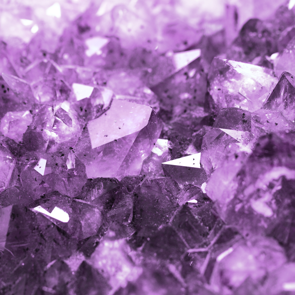 輝く紫色の天然アメジスト原石｜温熱効果で冷えを癒す三鷹ココペリの岩盤浴に使用